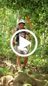 BIB:  <button type="button" onclick="openModal(27630421)" class="btn btn-primary btn-sm float-right" data-toggle="modal" data-target=".modal-high-quality">
                <i class="fa fa-download"></i> Download
                </button>